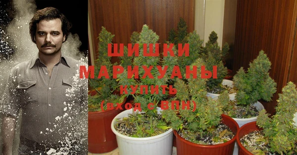 тгк Семикаракорск