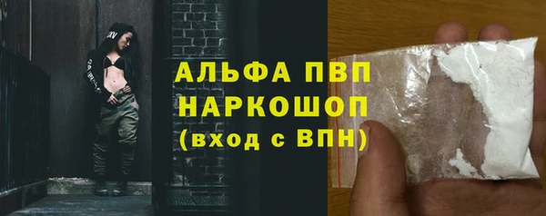 СК Семилуки