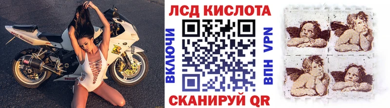 где купить наркоту  Сосновоборск  KRAKEN ТОР  Марки NBOMe 1,8мг 