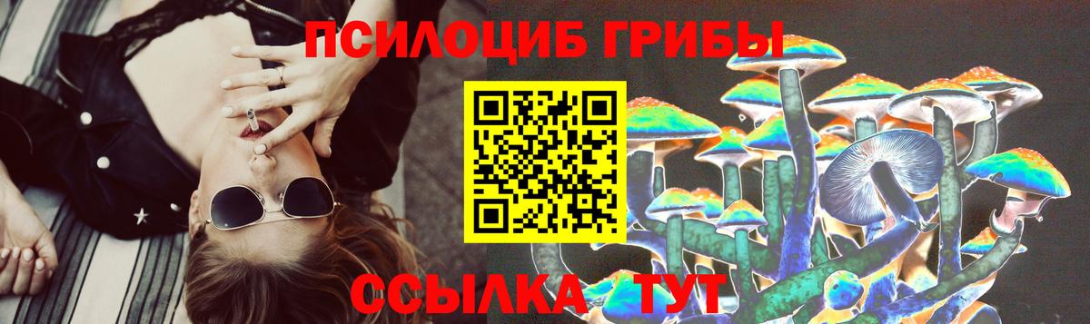 Галлюциногенные грибы Magic Shrooms  Псилоцибиновые грибы Psilocybe  Сосновоборск 