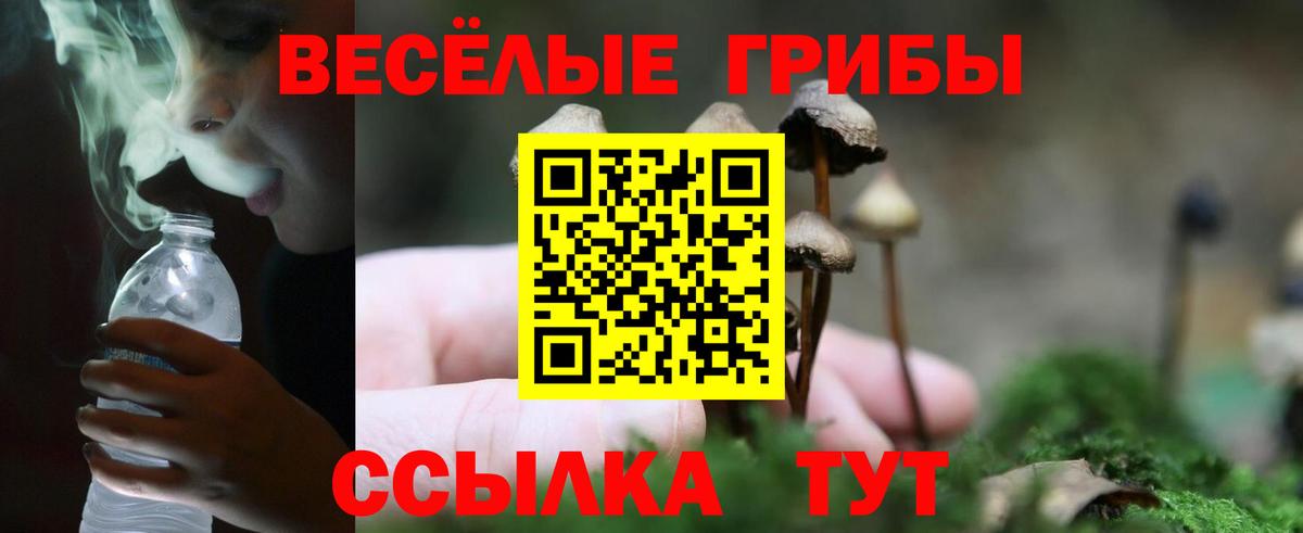 Лсд 25 Сосновоборск