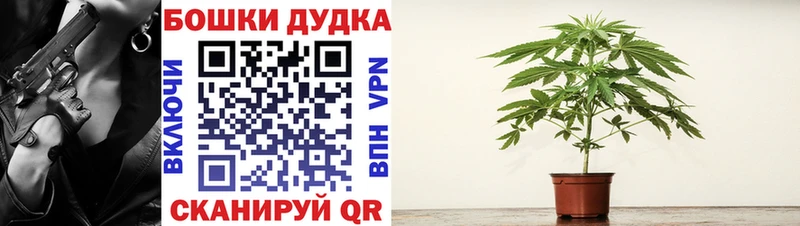 МАРИХУАНА планчик  shop телеграм  Сосновоборск 